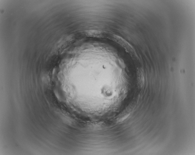 X0000076320523200610161647