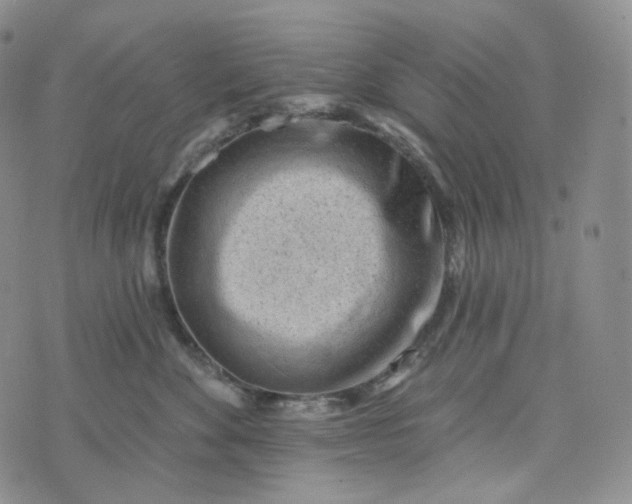 X0000076320524200610161647