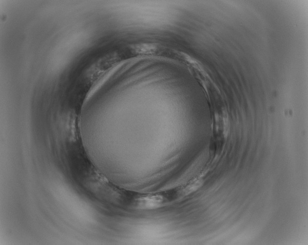 X0000076320525200610161647