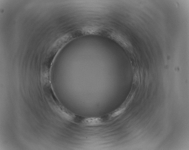 X0000076320526200610161647