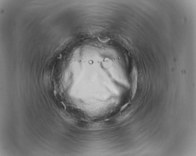 X0000076320527200610161647