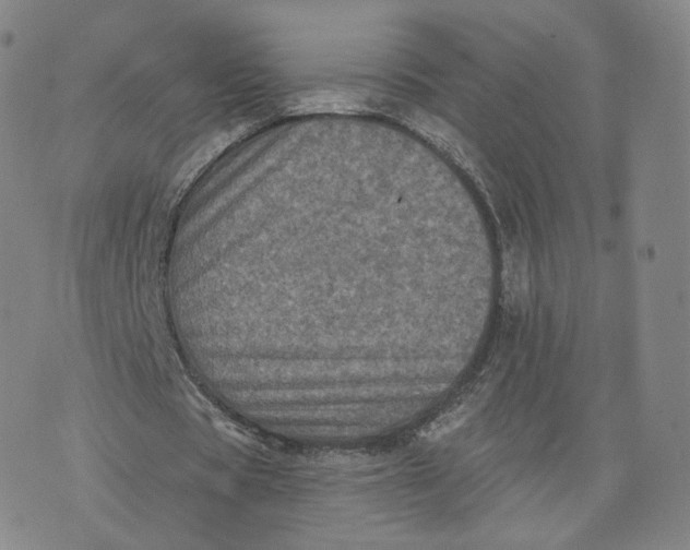 X0000076320529200610161646