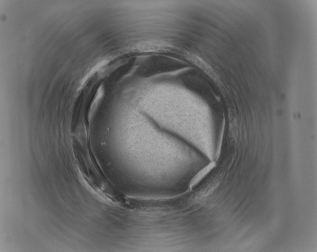 X0000076320530200610161646