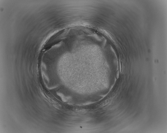 X0000076320531200610161646