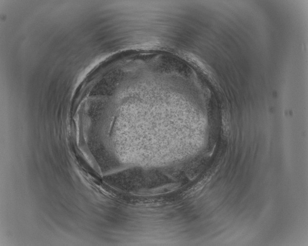 X0000076320532200610161646