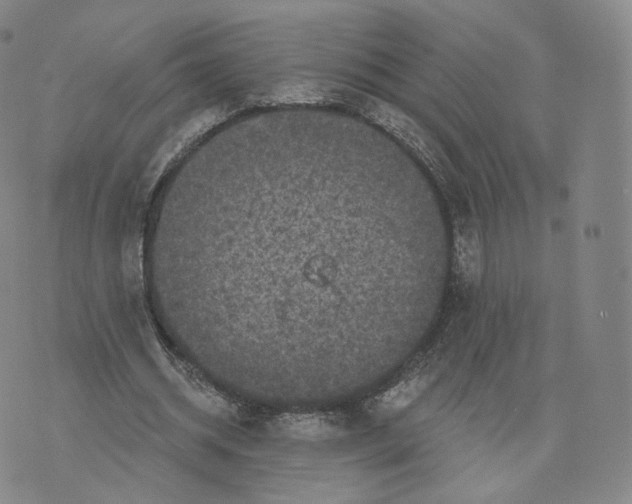 X0000076320534200610161646