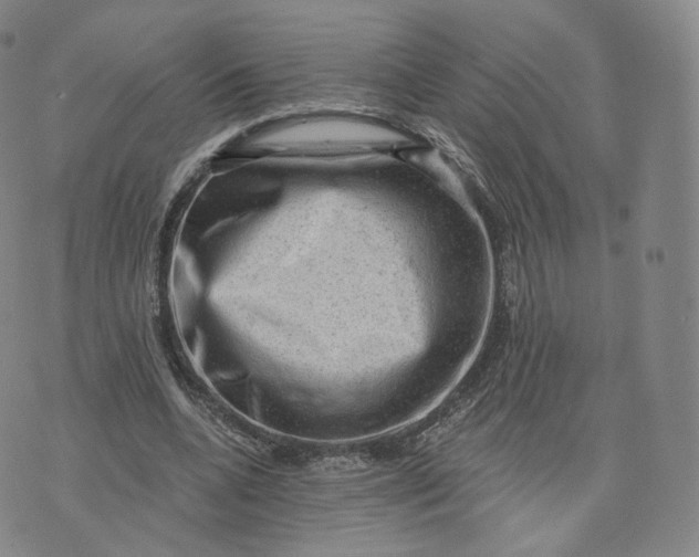 X0000076320536200610161646