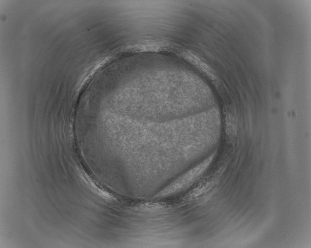 X0000076320537200610161646