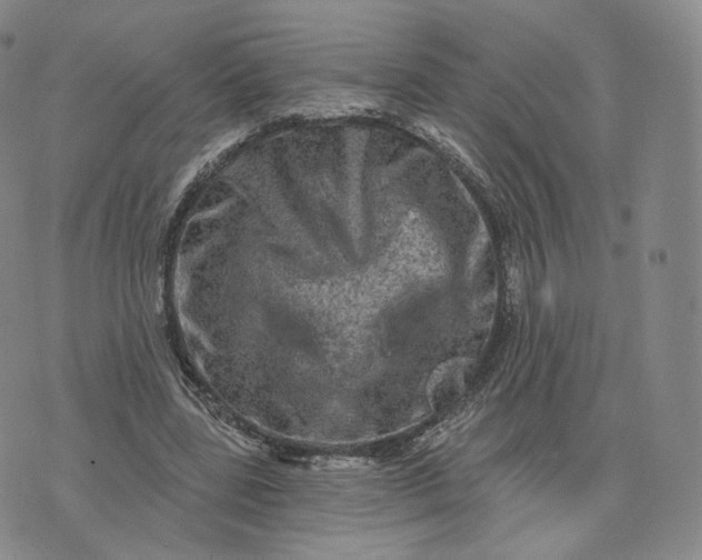 X0000076320539200610161646