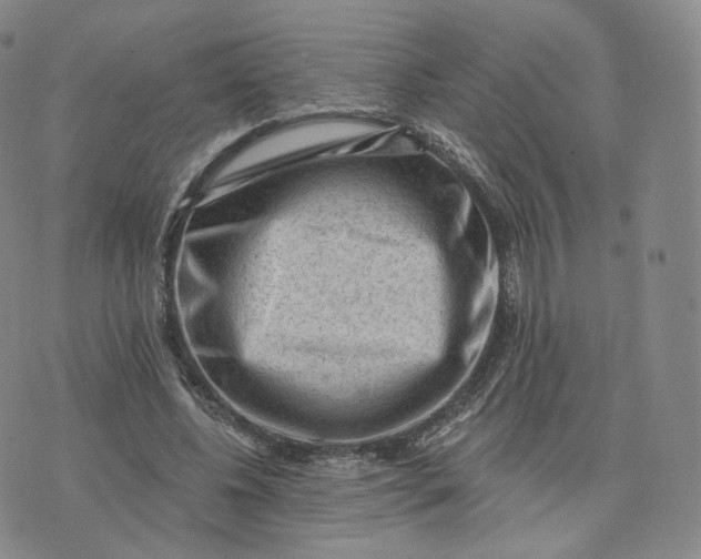 X0000076320540200610161646