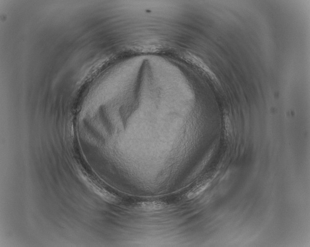 X0000076320541200610161646