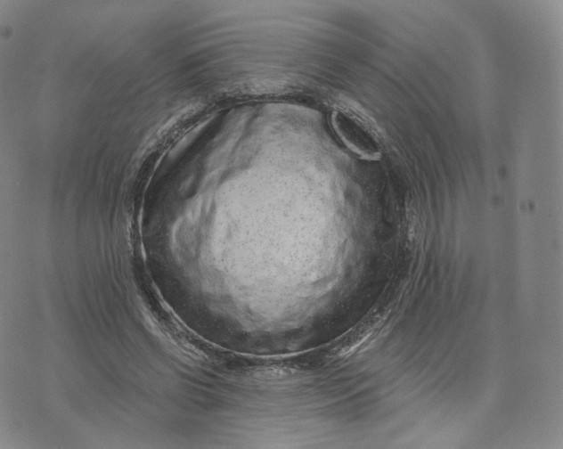 X0000076320542200610161646