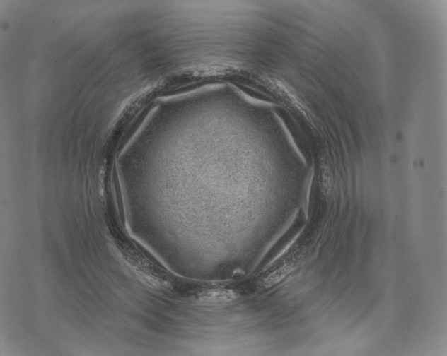 X0000076320543200610161646