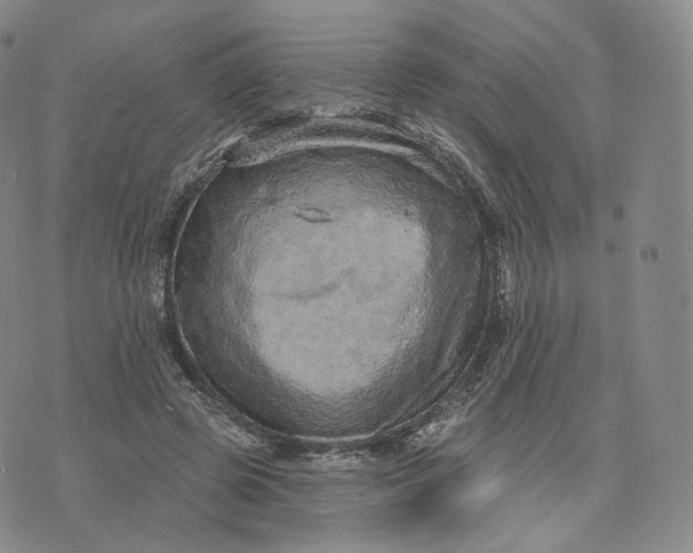 X0000076320545200610161646