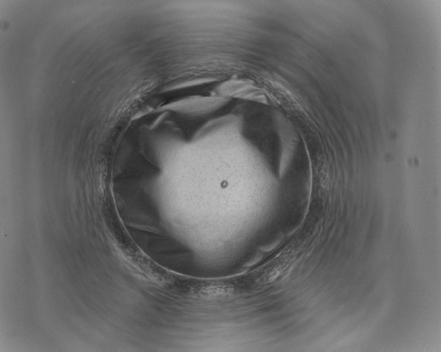 X0000076320546200610161646