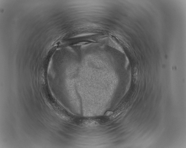 X0000076320547200610161646