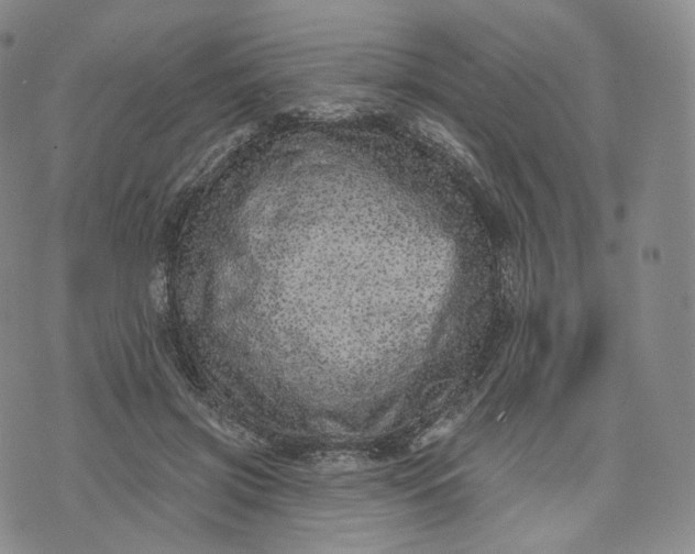 X0000076320549200610161646