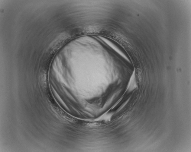 X0000076320550200610161646