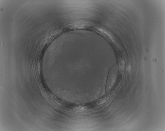 X0000076320551200610161646