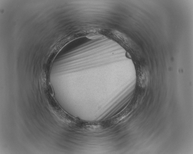 X0000076320552200610161646