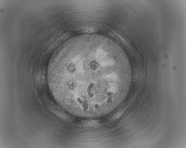 X0000076320553200610161646