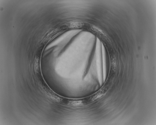 X0000076320554200610161646