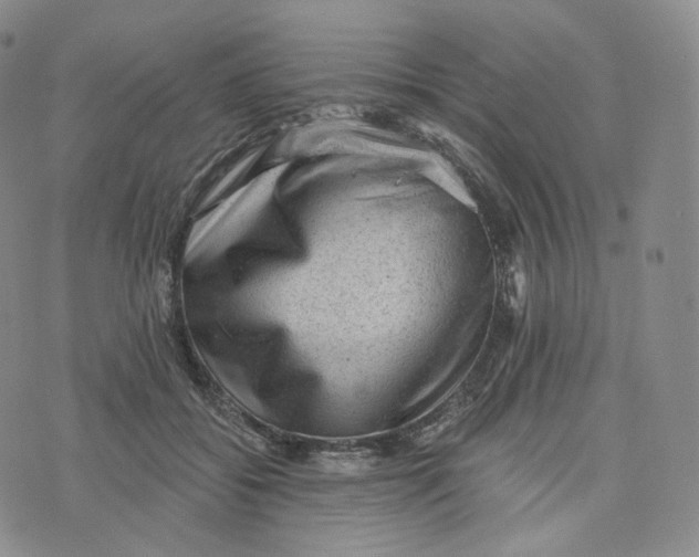 X0000076320556200610161646