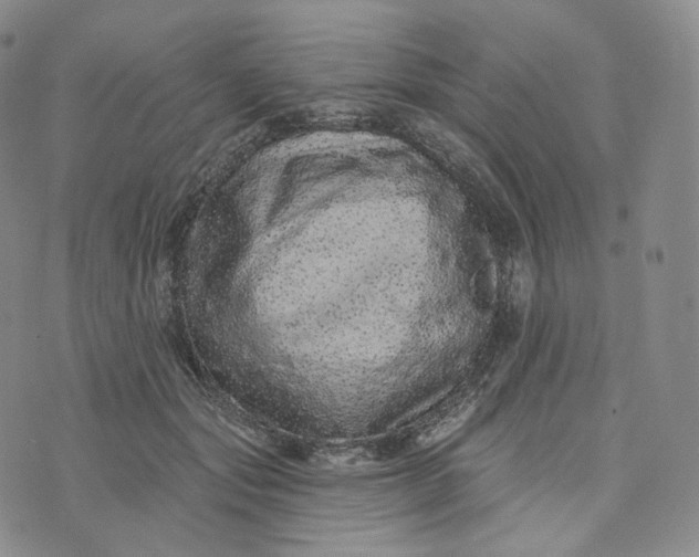 X0000076320557200610161646