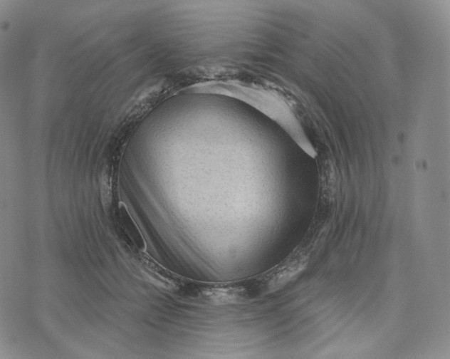 X0000076320558200610161646