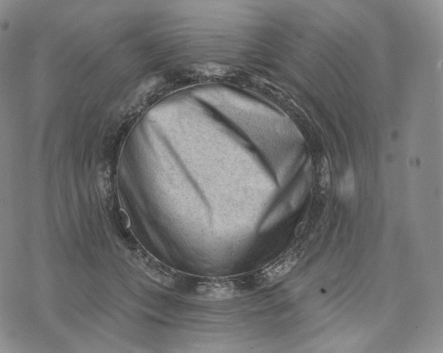 X0000076320559200610161646