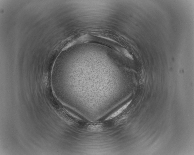 X0000076320560200610161646