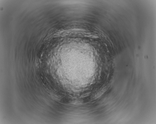 X0000076320561200610161646