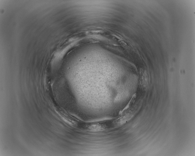 X0000076320562200610161646