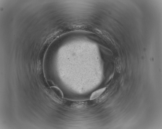 X0000076320563200610161646