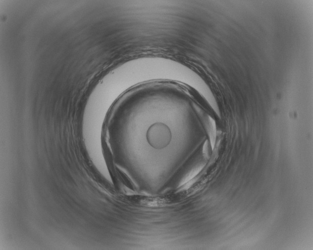 X0000076320564200610161647