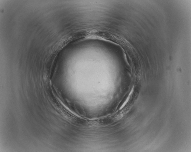 X0000076320565200610161647