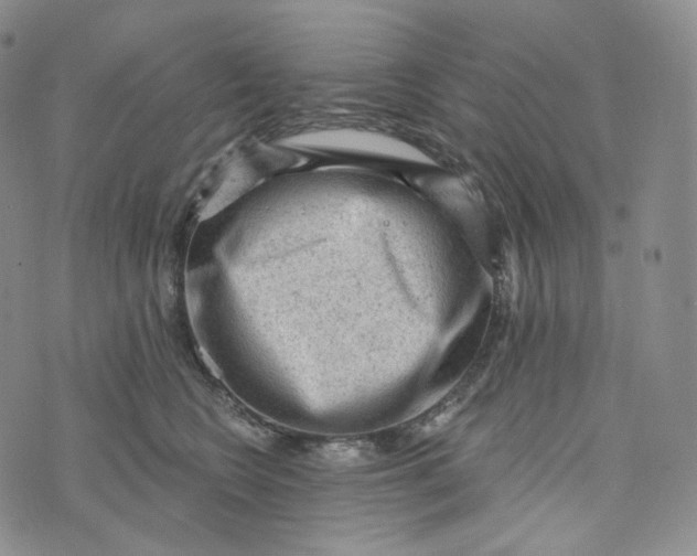 X0000076320566200610161647