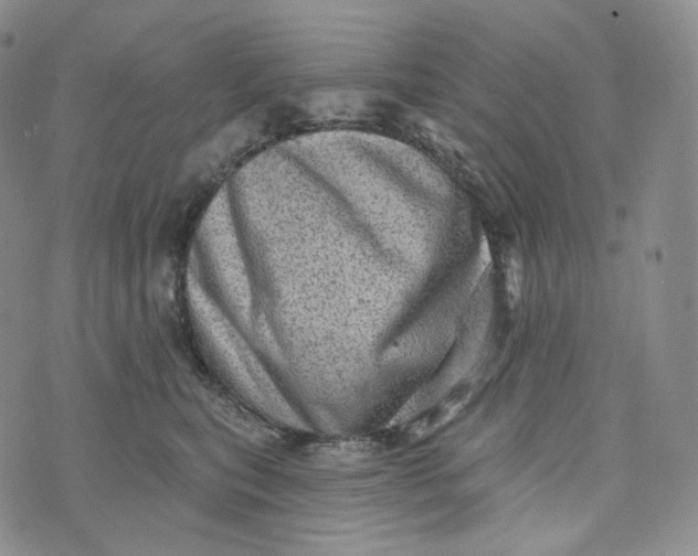 X0000076320567200610161647