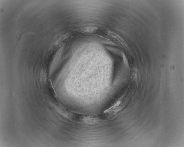 X0000076320568200610161647