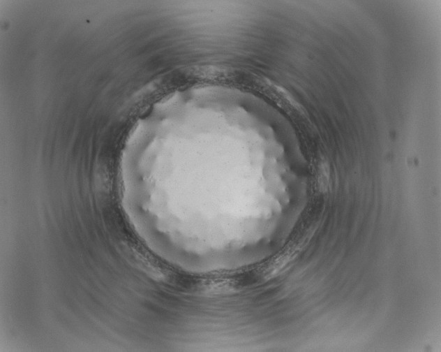 X0000076320569200610161647