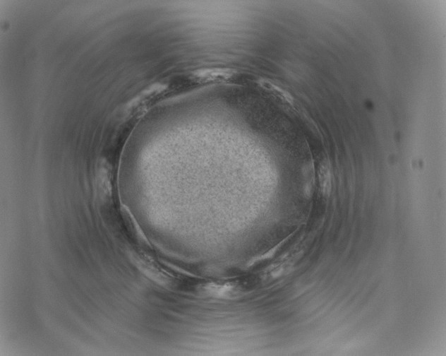 X0000076320570200610161647