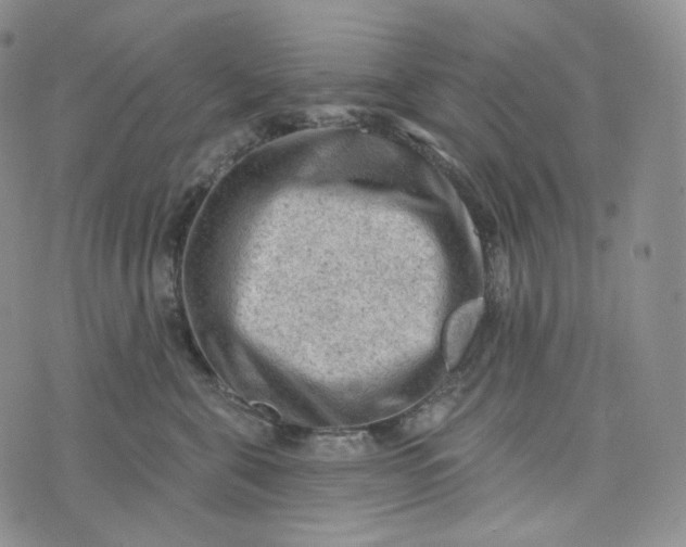 X0000076320571200610161647