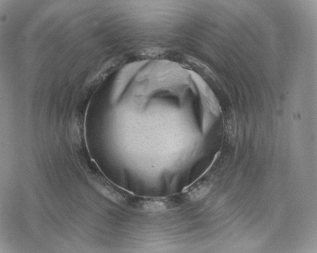 X0000076320572200610161647