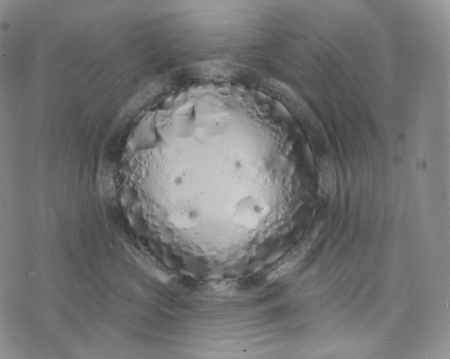 X0000076320573200610161647