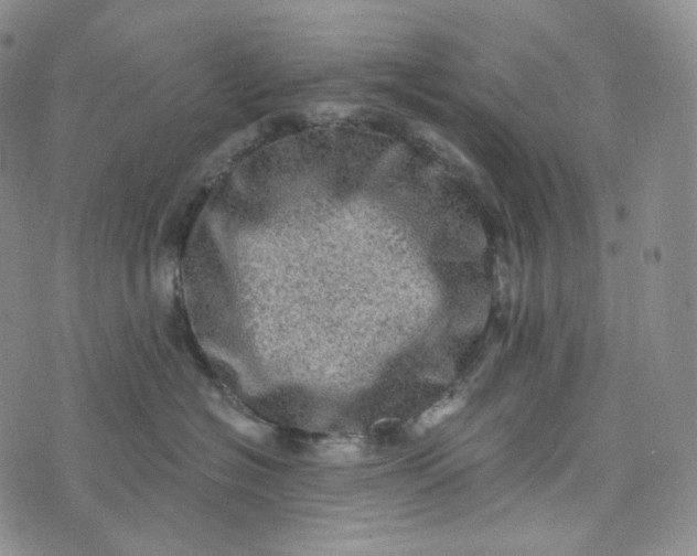 X0000076320574200610161647