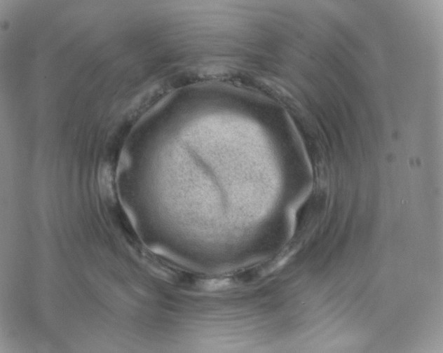 X0000076320575200610161647