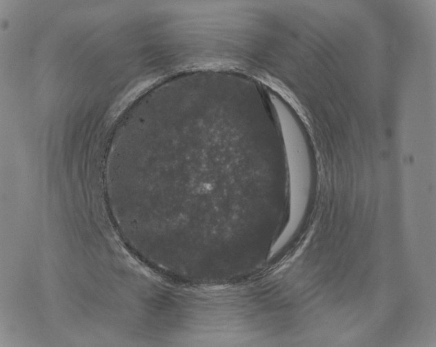 X0000076320577200610161646