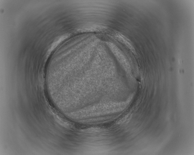 X0000076320578200610161646