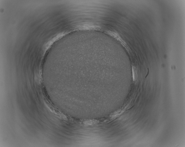 X0000076320579200610161646