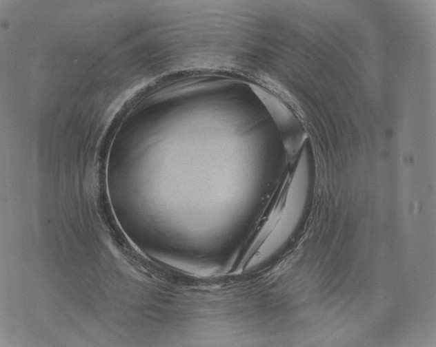 X0000076320580200610161646